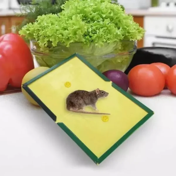 Mouse Glue Trap - Mouse Glue Board - Image 2